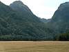 P10109786x4.jpg
