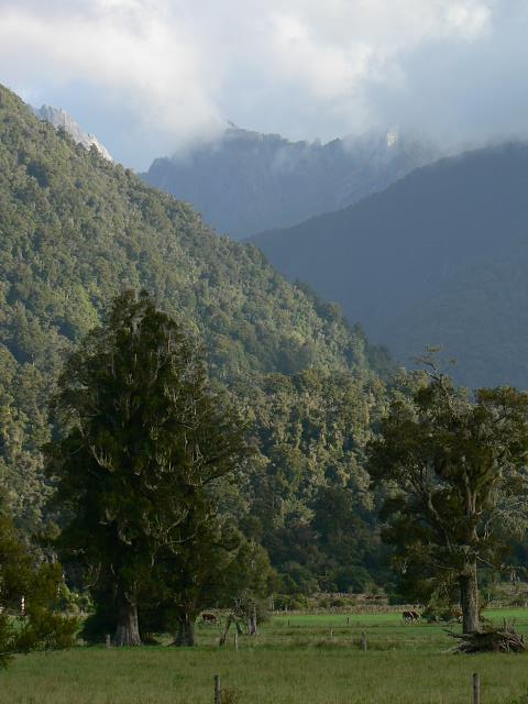P1020443-6x4.jpg