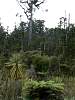P10204146x4.jpg