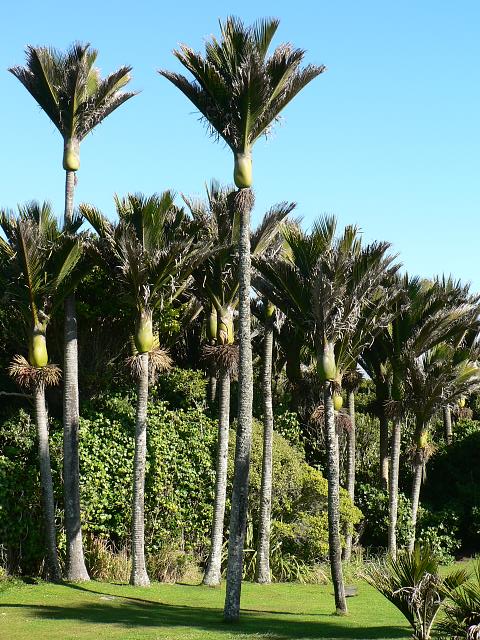 P1020700-6x4.jpg